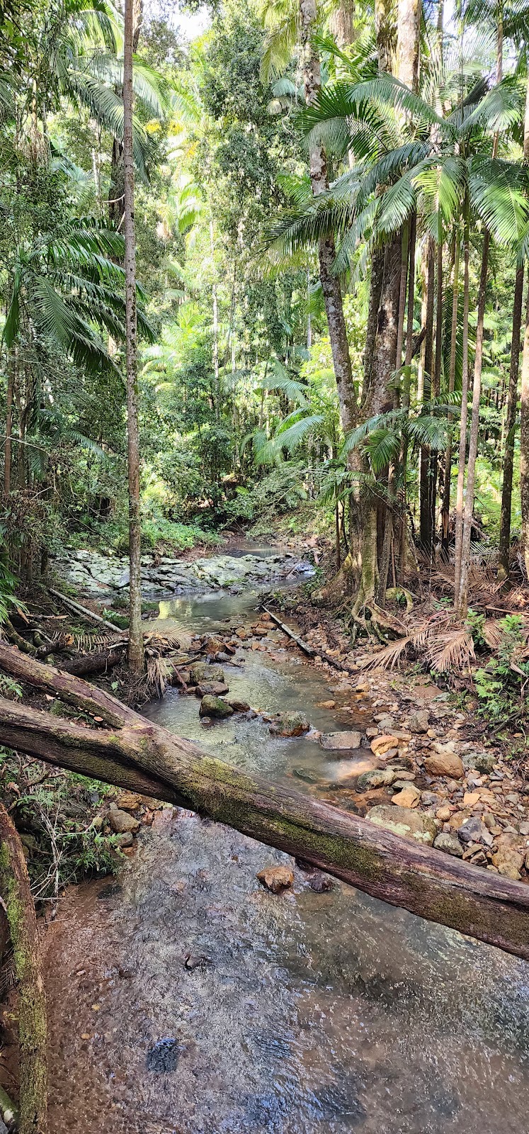 Connect Adventures - Gidjuum Gulganyi Walk | Minyon Dr, Whian Whian NSW 2480, Australia | Phone: 0492 981 811