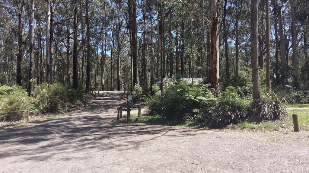 Big Hill Track | campground | 1265 Deans Marsh-Lorne Rd, Benwerrin VIC 3235, Australia | 00000000 OR +61 00000000
