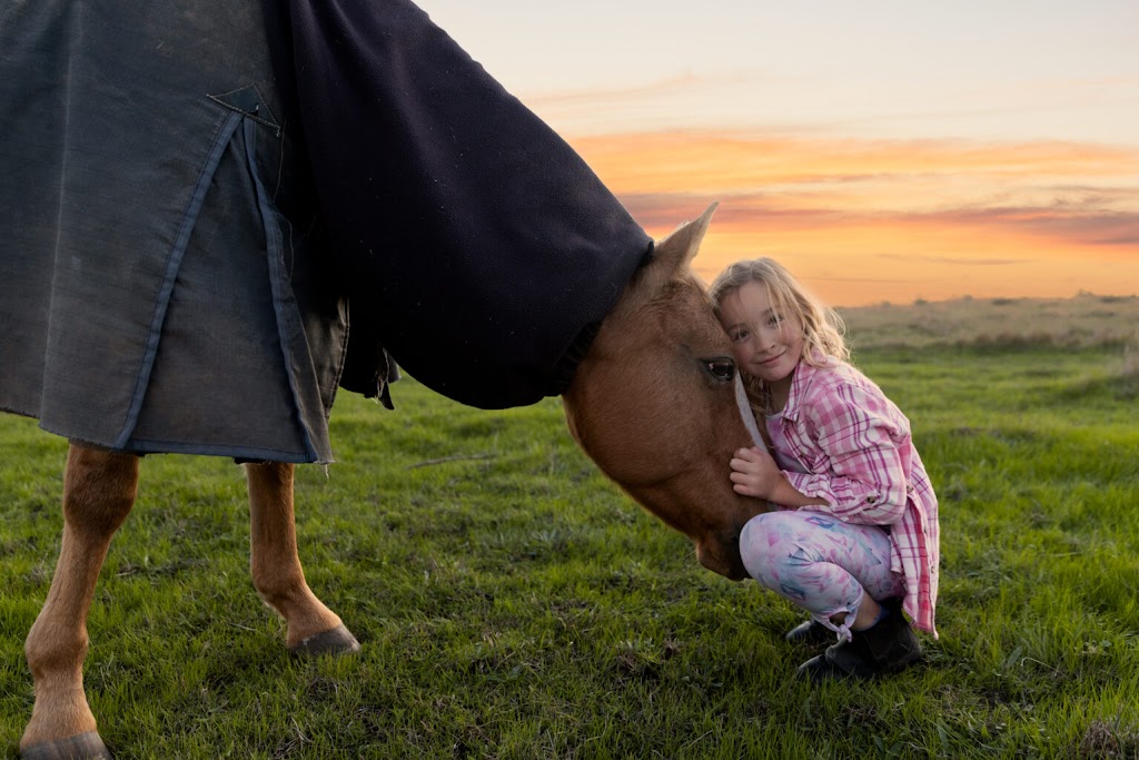 Equine Reflections Victoria | health | 520 Mickleham Rd, Attwood VIC 3049, Australia | 0499191978 OR +61 499 191 978