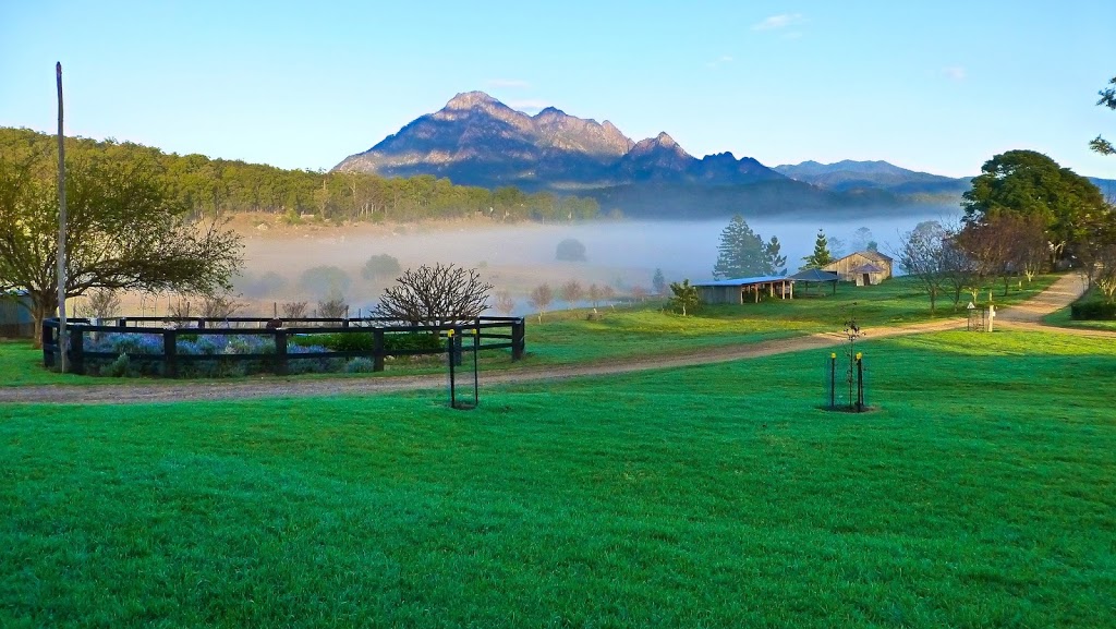 Lillydale Natural Angus Beef | store | LOT 2 Mount Barney Rd, Barney View QLD 4287, Australia | 0755443131 OR +61 7 5544 3131