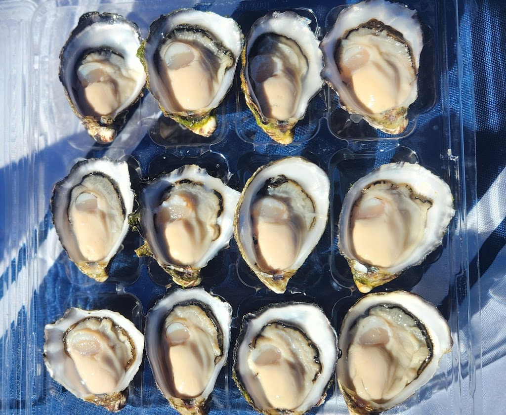 Forty Two Degrees Dunalley | 139 Arthur Hwy, Dunalley TAS 7177, Australia | Phone: 0488 218 128