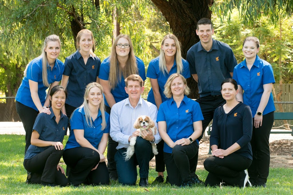 Stephen Terrace Veterinary Clinic | veterinary care | 45 Stephen Terrace, St Peters SA 5069, Australia | 0883626688 OR +61 8 8362 6688