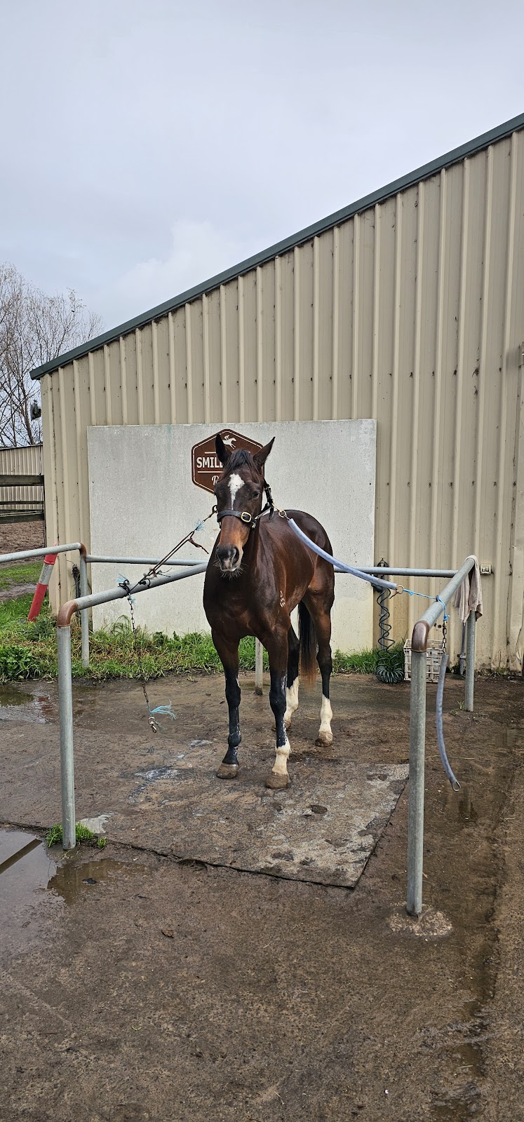 Smiley Chan Racing | 11 Knights Ct, Tynong VIC 3813, Australia | Phone: 0434 067 395