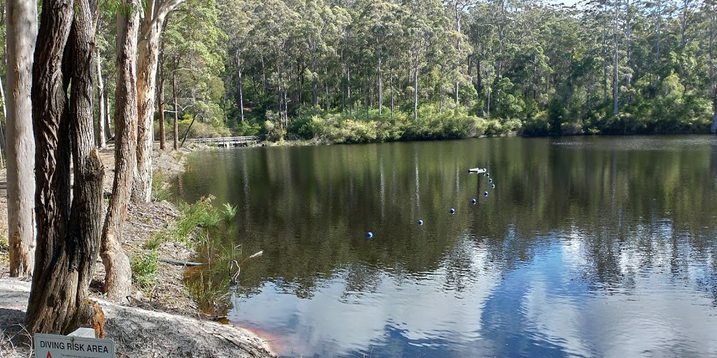 Lake Muir State Forest | Western Australia, Australia