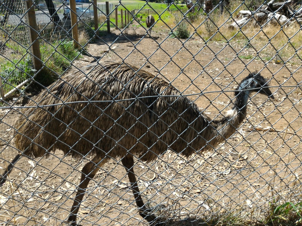 Graham Husson Fauna Park | park | Portland VIC 3305, Australia