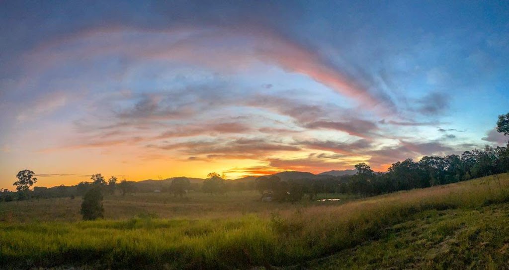 The simple patch permaculture | 7 Ashlea Rd, Wingham NSW 2429, Australia | Phone: 0466 539 103