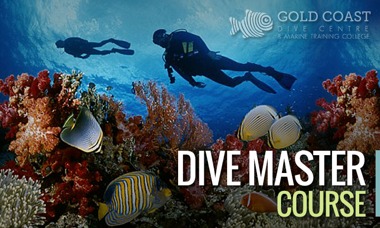 Gold Coast Dive Centre & Marine Training College | school | 2/54-56 Paradise Ave, Miami QLD 4220, Australia | 0755720511 OR +61 7 5572 0511
