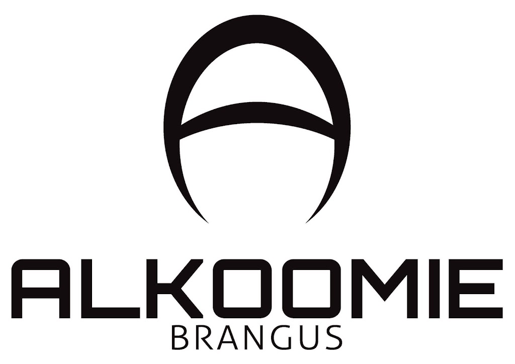 Alkoomie Brangus | 209 Kowari Rd, Finch Hatton QLD 4756, Australia | Phone: 0409 068 237