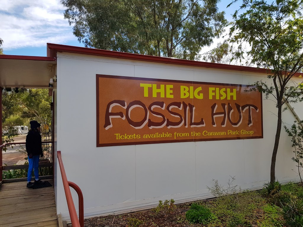 The Big Fish Fossil Hut | Ween St, Peak Hill NSW 2869, Australia | Phone: (02) 6869 1422