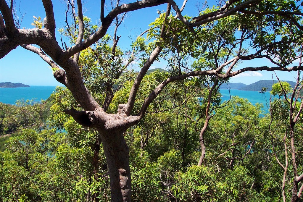 Molle Islands National Park | park | Whitsundays QLD 4802, Australia