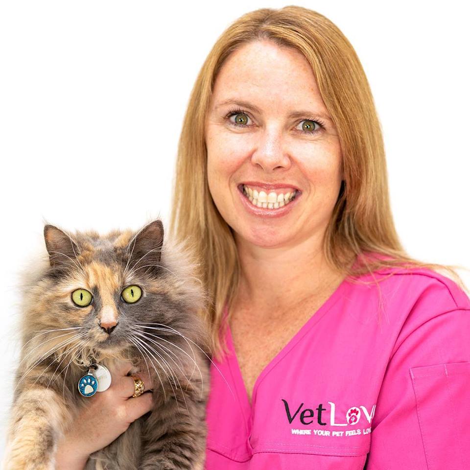 VetLove Helensvale | veterinary care | 102 Helensvale Rd, Helensvale QLD 4212, Australia | 0755027711 OR +61 7 5502 7711