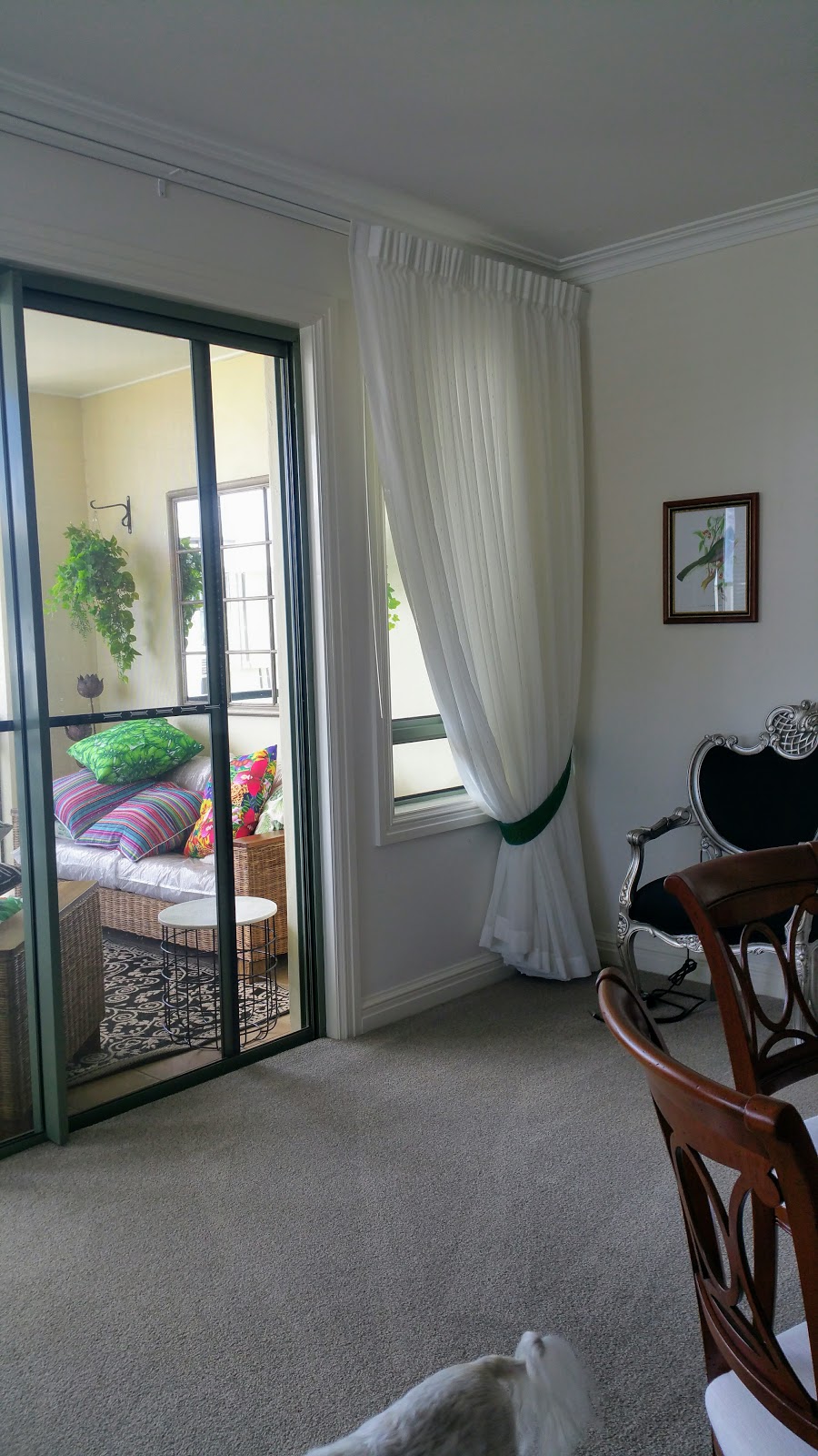 IQ Rooms - smart curtains & blinds | Karen St, Jacobs Well QLD 4208, Australia | Phone: 0408 711 090