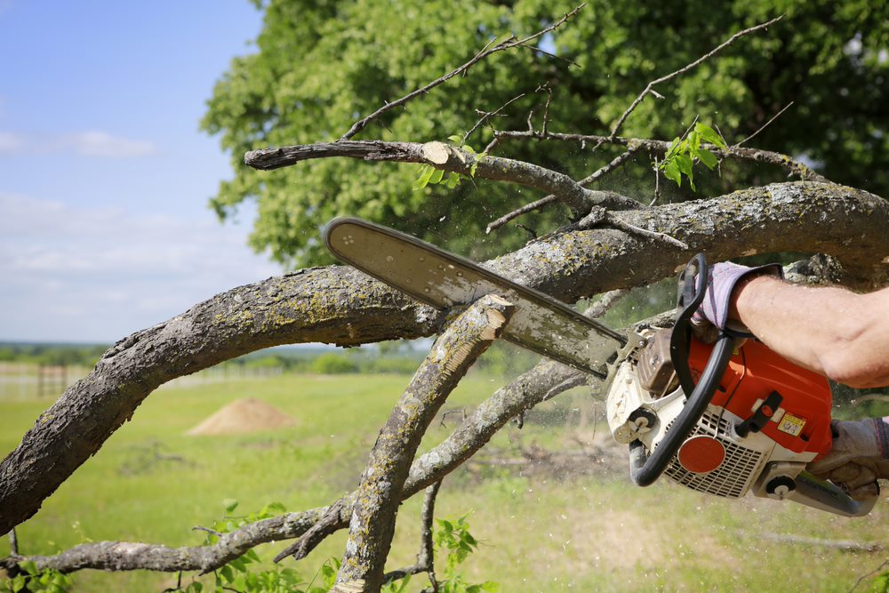 Mikes Tree Services | St Georges Basin NSW 2540, Australia | Phone: 0401 518 438