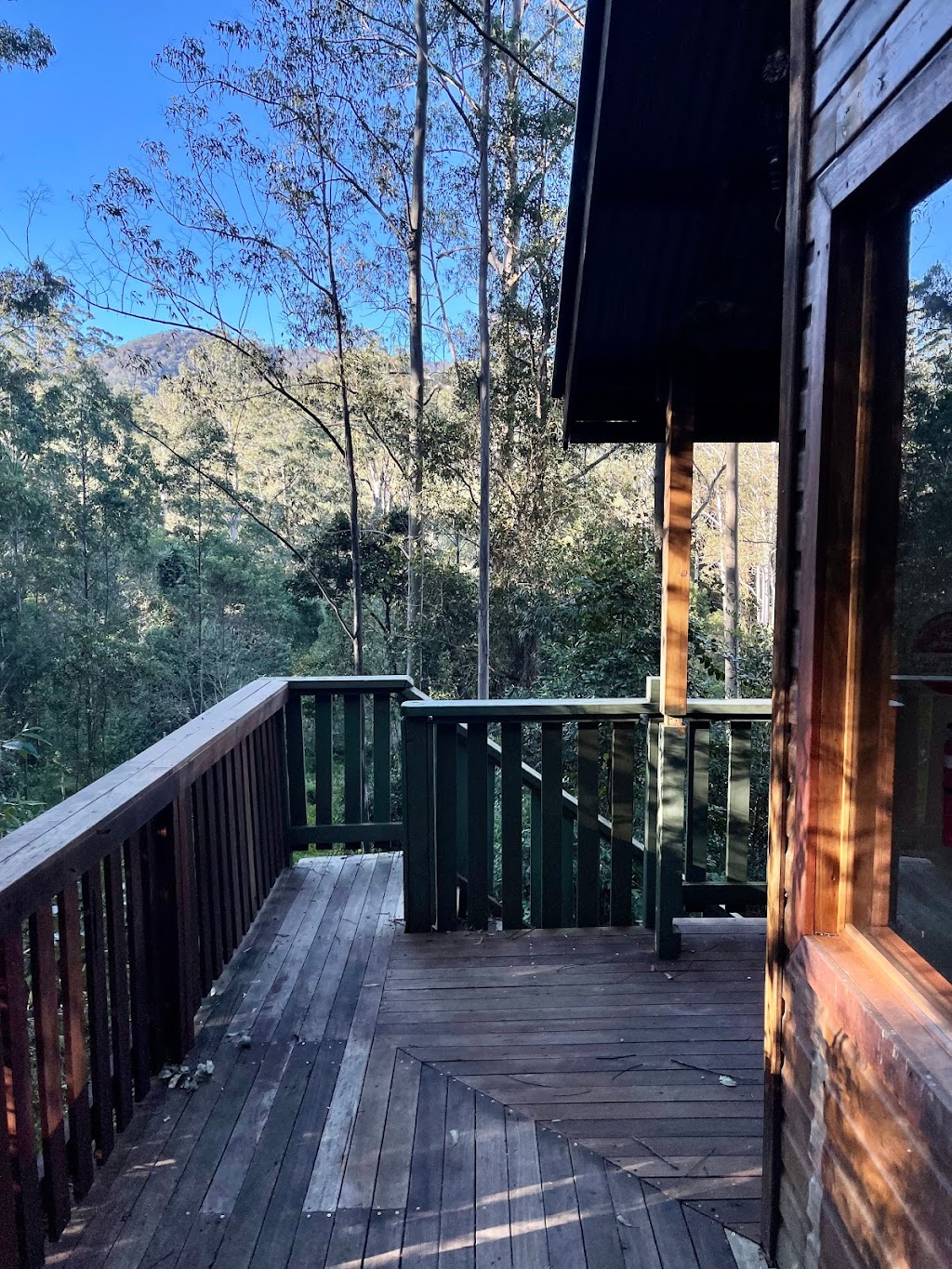 Tall Gums Cabin Barrington Tops | Cabin 10/2940 Salisbury Rd, Salisbury NSW 2420, Australia | Phone: 0422 071 546