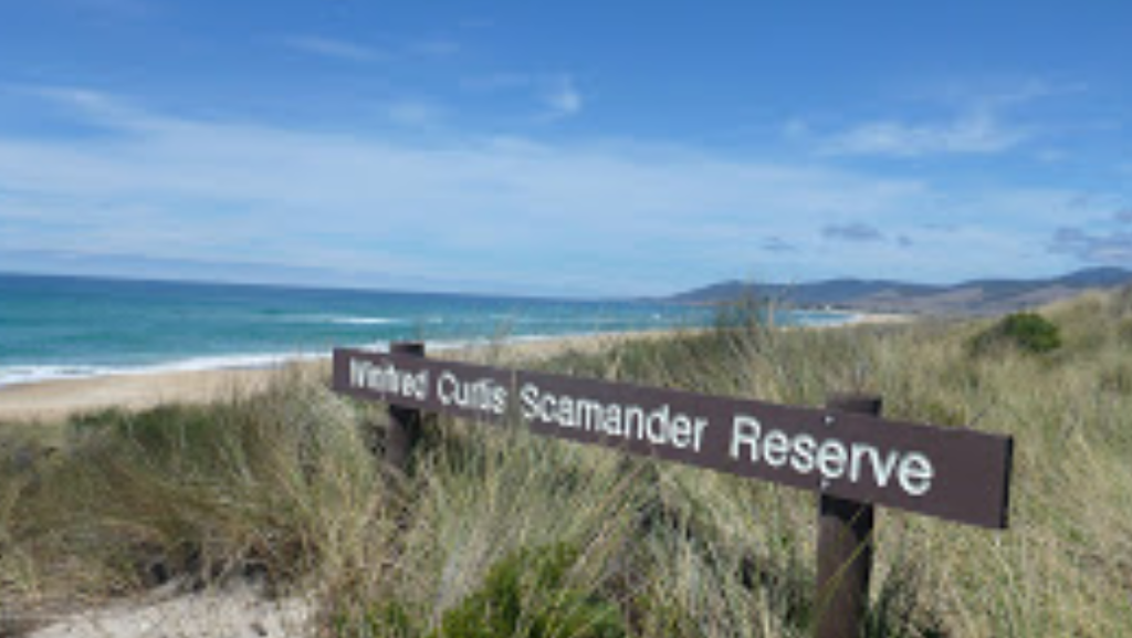 Winifred Curtis Reserve | park | 23282 Tasman Hwy, Scamander TAS 7215, Australia