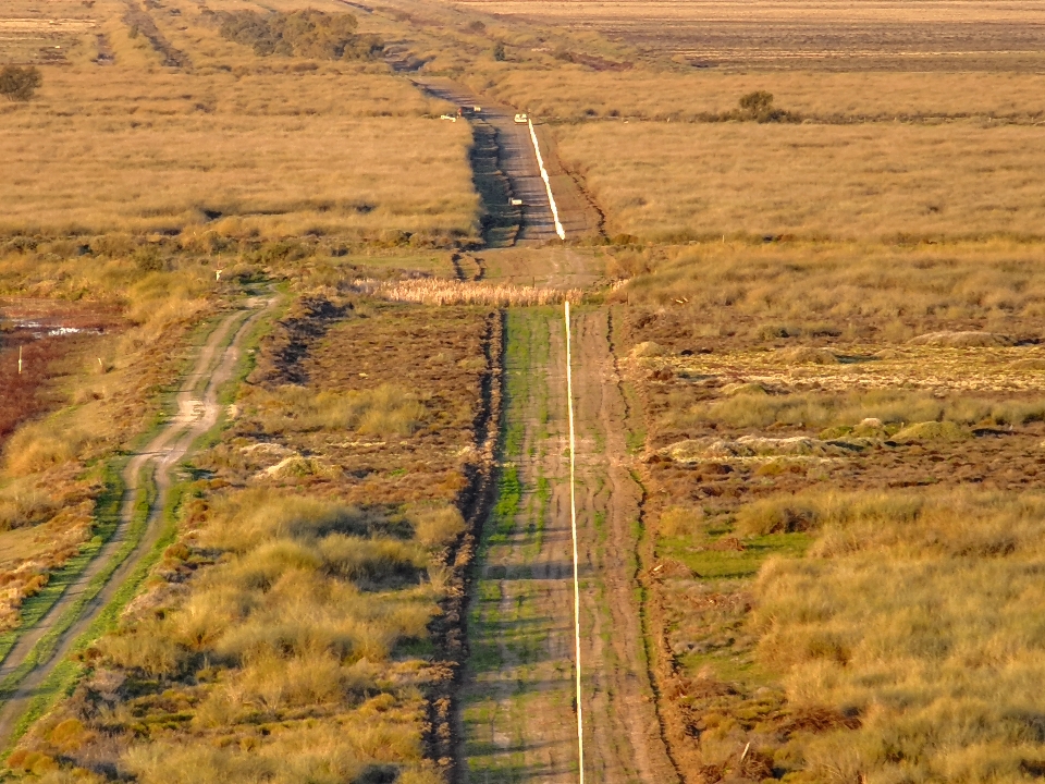 Gayini Conservation Area | 2748 Nap Nap Road, Maude NSW 2711, Australia | Phone: (02) 6993 2243