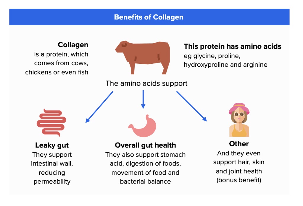 NXGEN Organic Wholefoods |  | 150 Hartwood Ave, Robin Hill NSW 2795, Australia | 0434148194 OR +61 434 148 194