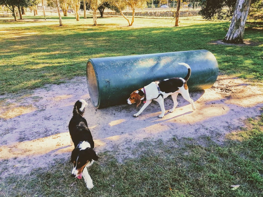 Ferny Grove Dog Park | park | 1212 Samford Rd, Ferny Grove QLD 4055, Australia