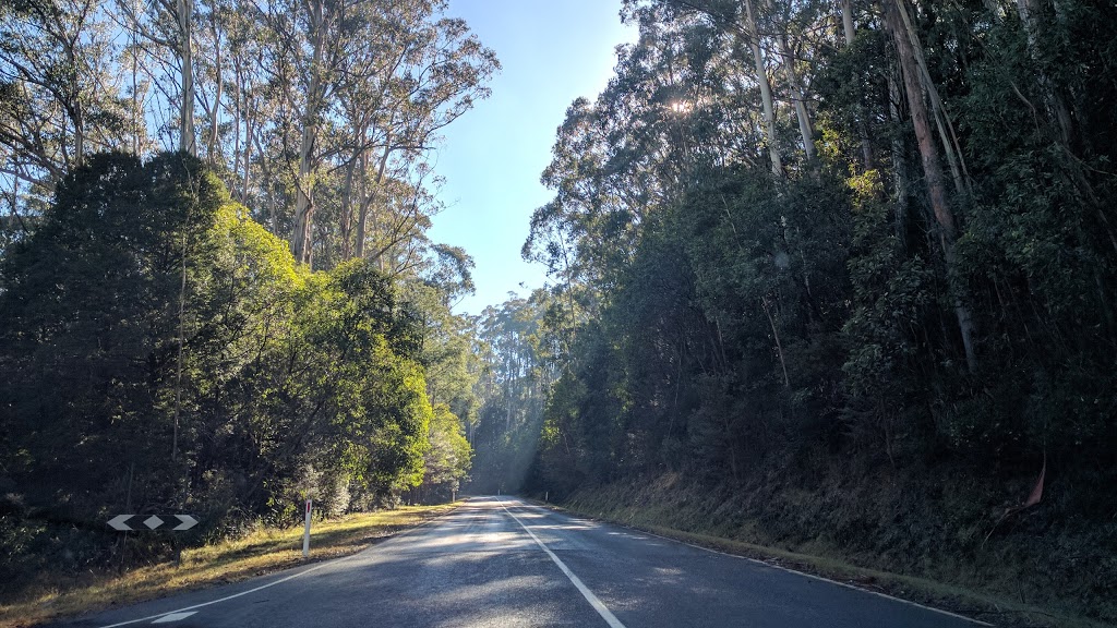 Mount Donna Buang and Mt Victoria Hiking Trail | 1140 Donna Buang Rd, Warburton VIC 3799, Australia