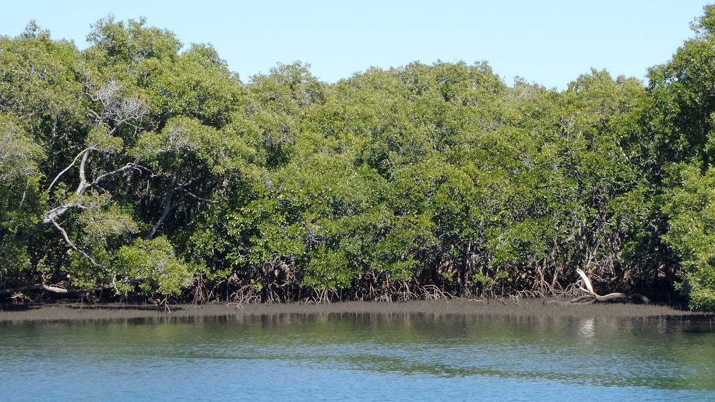 Southern Moreton Bay Islands National Park | Southern Moreton Bay Islands QLD 4184, Australia