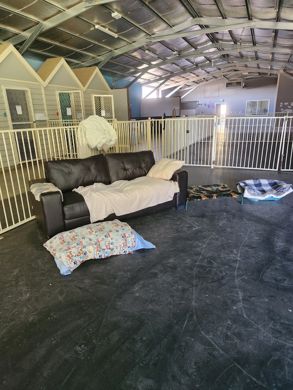 Pawsforabreak | 618 Kline St, Canadian VIC 3350, Australia | Phone: 0409 457 545