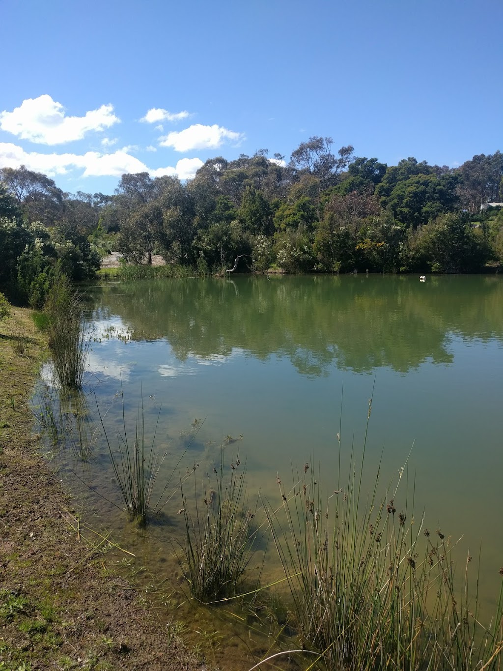 Rhyll Trout & Bush Tucker Farm | 30 Rhyll-Newhaven Rd, Rhyll VIC 3923, Australia | Phone: (03) 5956 9255