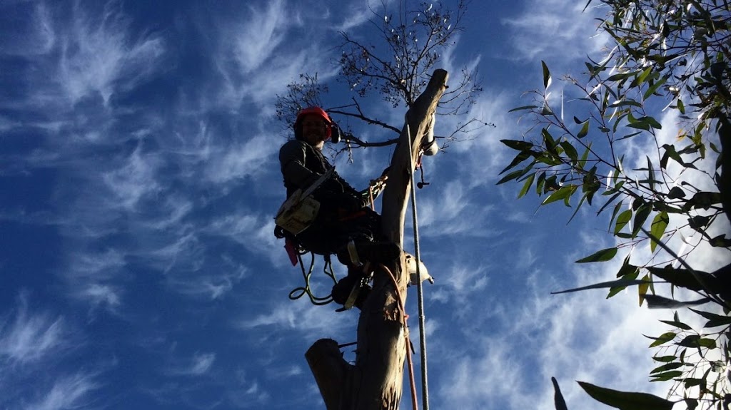 J & Z Tree Care | Diggers Way, Elphinstone VIC 3448, Australia | Phone: 0458 955 229