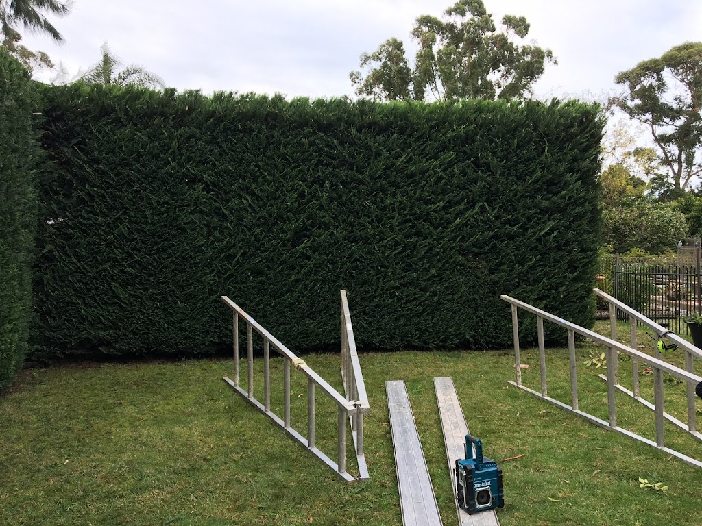 All Seasons Garden maintenance | general contractor | 25 Irene Ct, Melbourne VIC 3192, Australia | 0408303529 OR +61 408 303 529