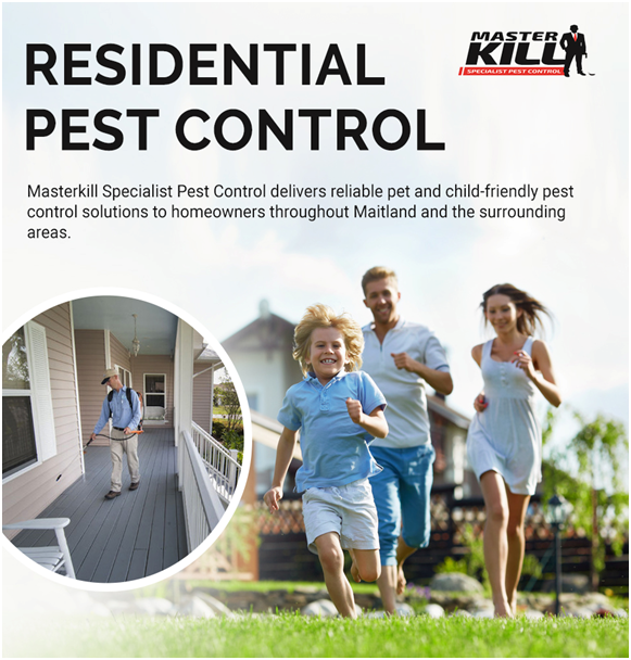 Master Kill Pest Control Maitland | S Seas Dr, Ashtonfield NSW 2323, Australia | Phone: 0447 342 230