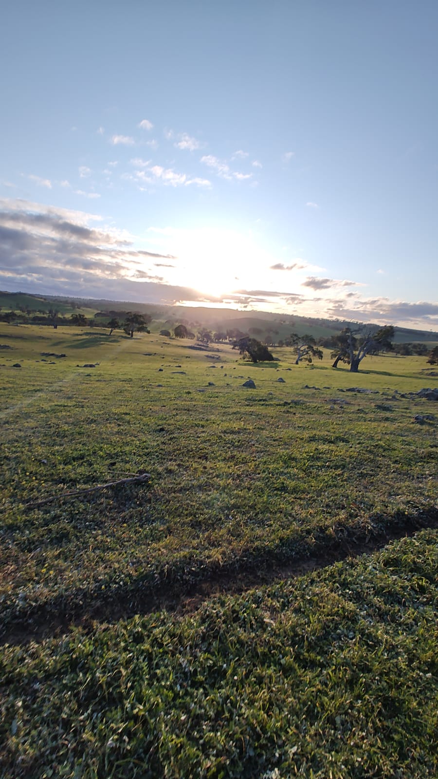 Ridgestone Retreat | Brinkworth Rd, Tungkillo SA 5236, Australia | Phone: 0437 654 453