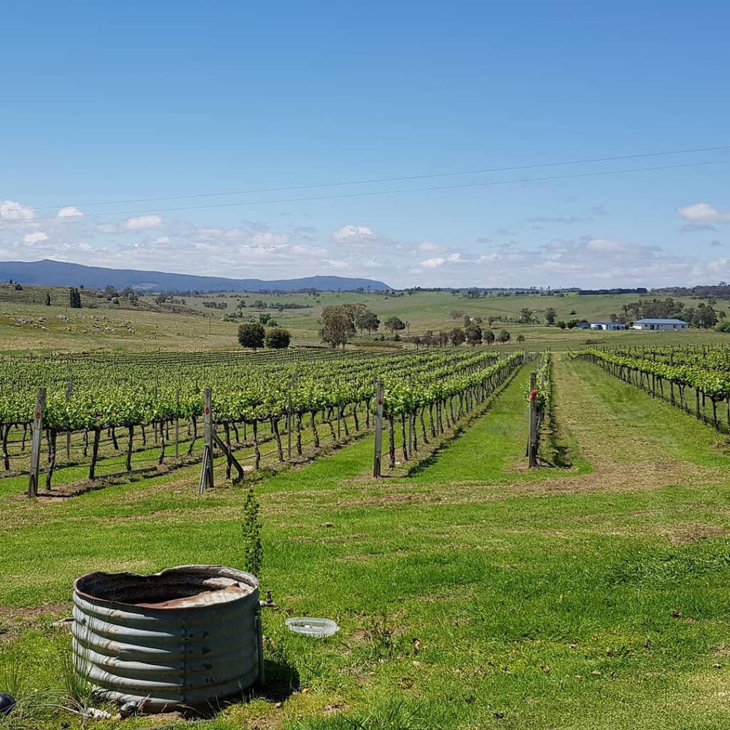 Kurrajong Downs Winery & Vineyard | Casino Rd, Tenterfield NSW 2372, Australia | Phone: (02) 6736 4590