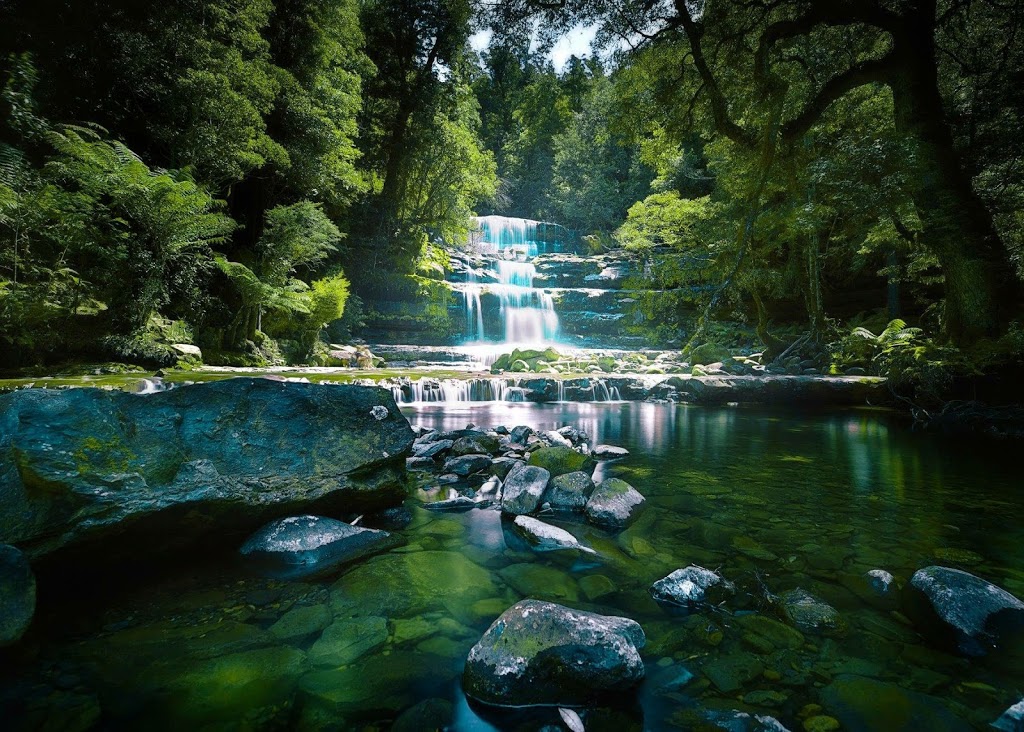 Liffey Falls State Reserve | Liffey TAS 7301, Australia