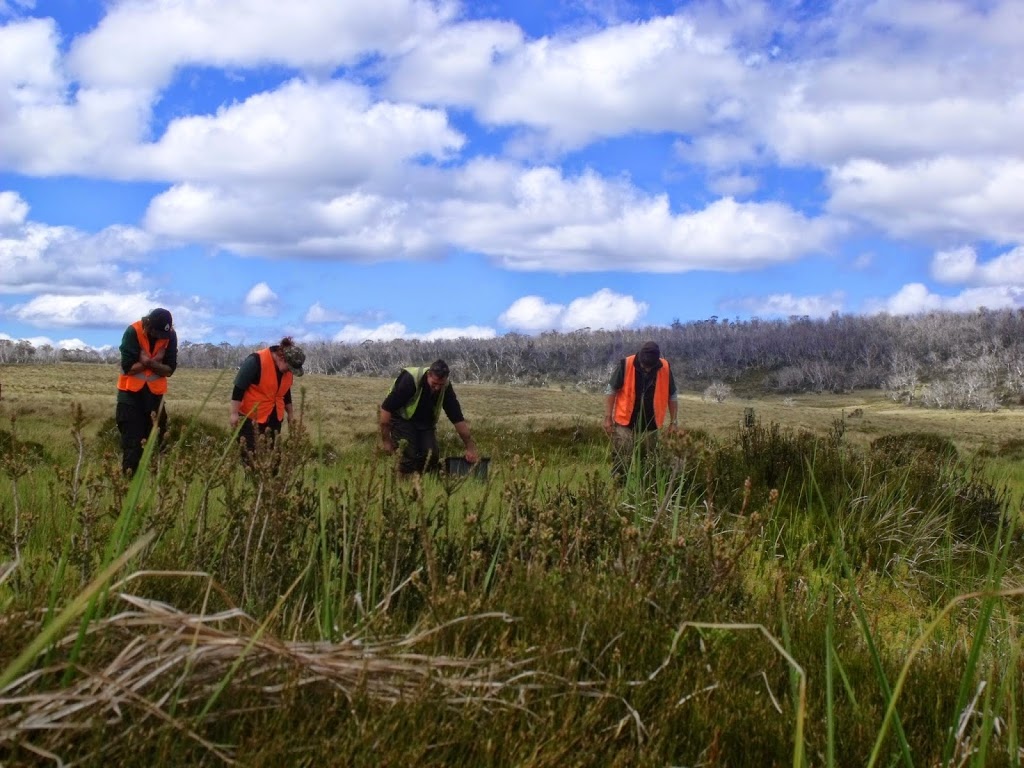 Wetland & Wildlife Creations | 317 Bungower Rd, Moorooduc VIC 3933, Australia | Phone: 1300 992 992