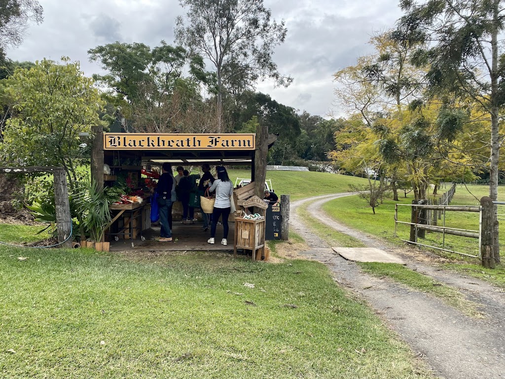 Blackheath Farm Farmers Market | 110 Cliveden Ave, Corinda QLD 4075, Australia | Phone: 0459 982 012