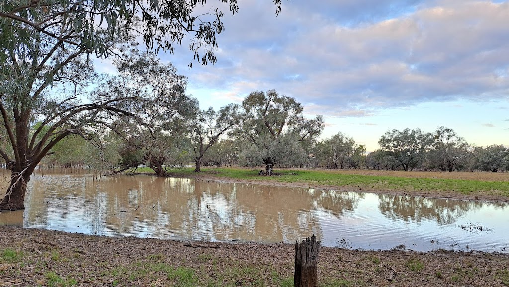 Allambie’s Camp | 299 Janbeth Rd, Bourke NSW 2840, Australia | Phone: 0423 597 320