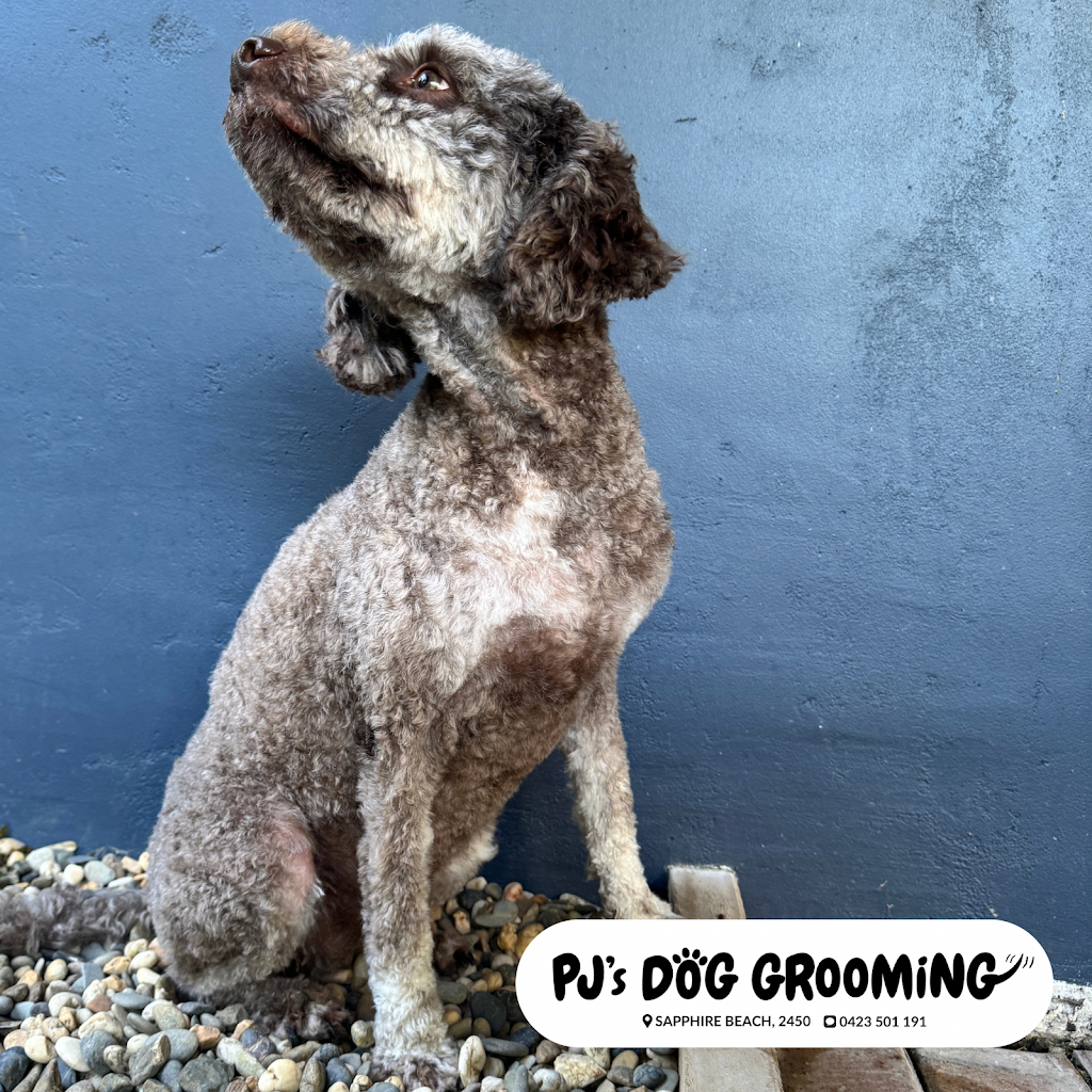 PJ’s Dog Grooming (Sapphire Beach, Coffs Harbour) | Lakeside Dr, Sapphire Beach NSW 2450, Australia | Phone: 0423 501 191