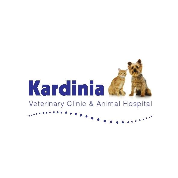 Kardinia Veterinary Clinic | veterinary care | 36 High St, Drysdale VIC 3222, Australia | 0352215122 OR +61 3 5221 5122