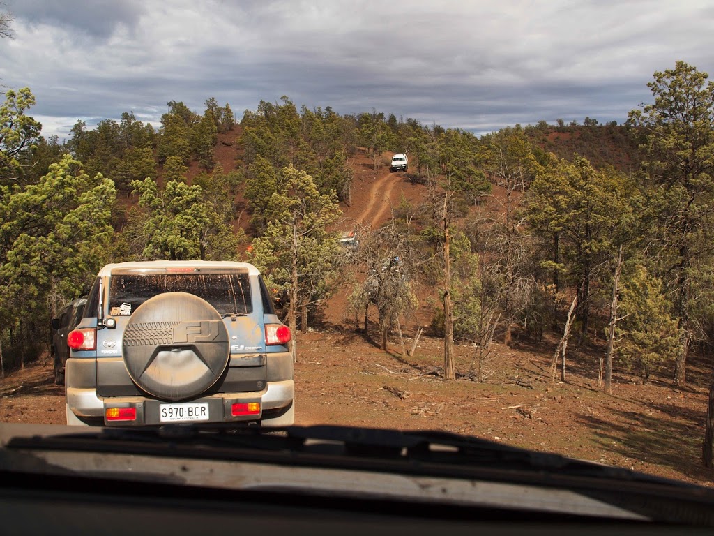 Willow Springs Station | lodging | Willow Springs Rd, Hawker SA 5434, Australia | 0886480016 OR +61 8 8648 0016