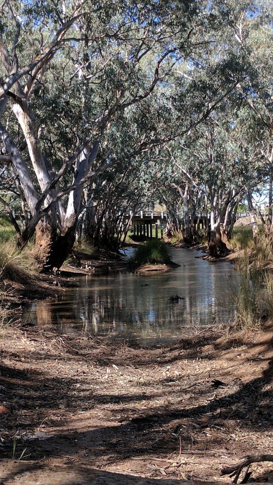 Mungallala rest area | park | 4379 Warrego Hwy, Mungallala QLD 4467, Australia