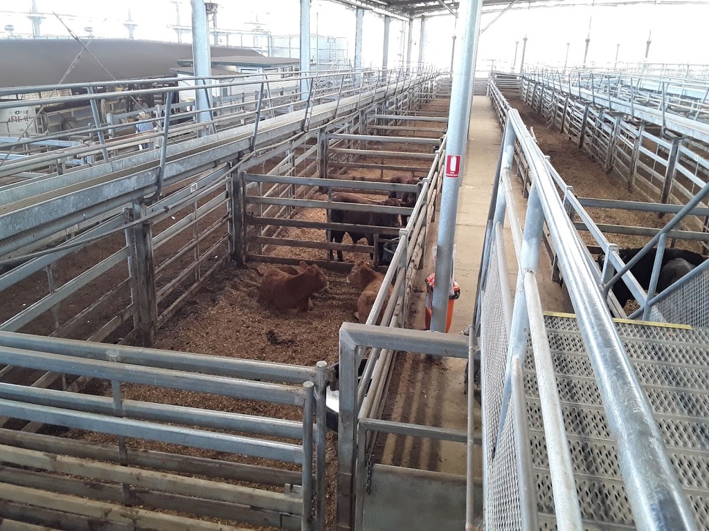 Northern Rivers Livestock Exchange | Dargaville Dr, Casino NSW 2470, Australia | Phone: (02) 6662 3500