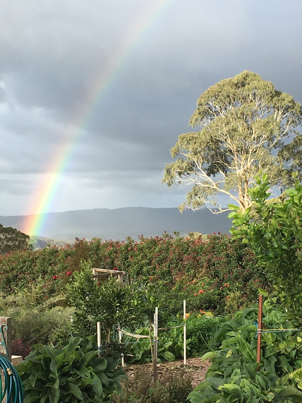 Fairview Cottage | Kay Ann Ct, Hampton QLD 4352, Australia | Phone: 0427 170 357