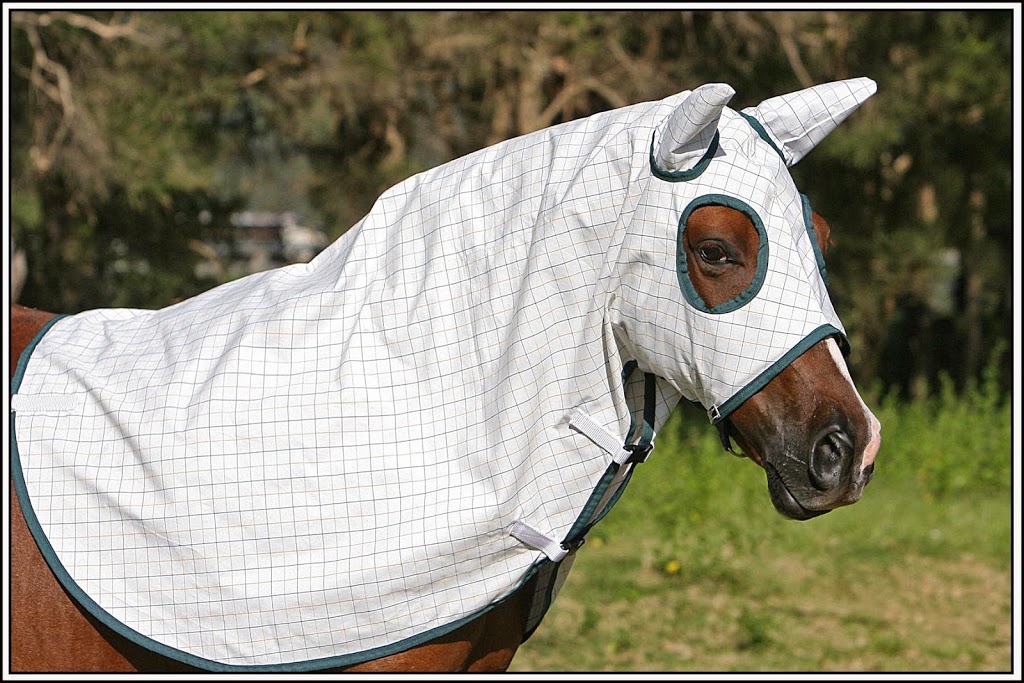 Camelot Horse Rugs | 1063 Castlereagh Rd, Castlereagh NSW 2749, Australia | Phone: (02) 4776 1300