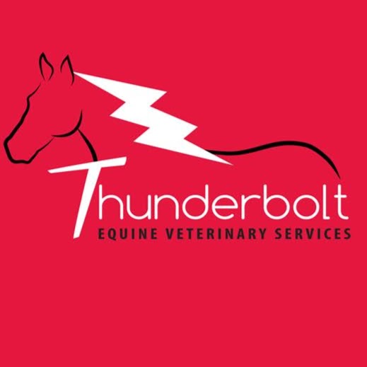 Thunderbolt Equine Veterinary Services | veterinary care | 49 Uralla Rd, Armidale NSW 2350, Australia | 0428319015 OR +61 428 319 015