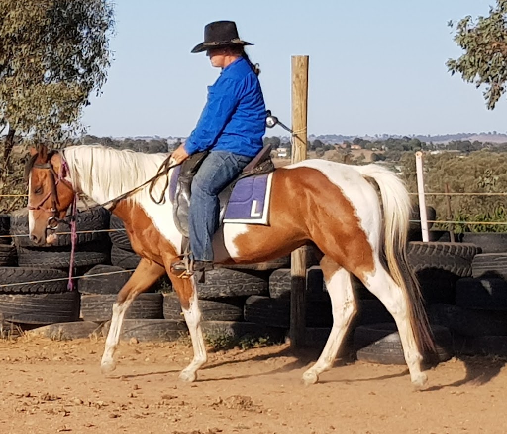 Buy and sell Training and breaking horse service | 49 Cherry Vale Pl, Young NSW 2594, Australia | Phone: 0458 275 879