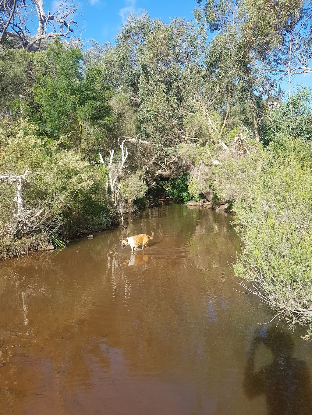 Wooroloo Regional Park | Chidlow WA 6556, Australia