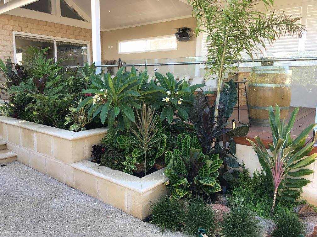 Exotic Eden Landscapes | 6 Dalton Way, Greenfields WA 6210, Australia | Phone: 0427 829 948