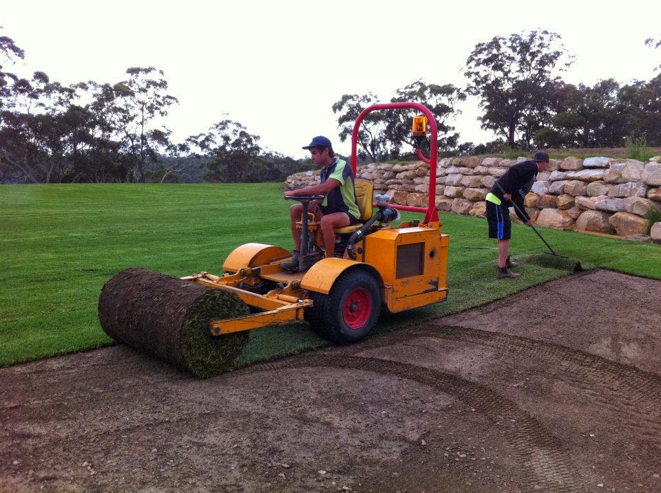 All Year Round Turf | 451 Wilberforce Rd, Wilberforce NSW 2756, Australia | Phone: 1300 887 348