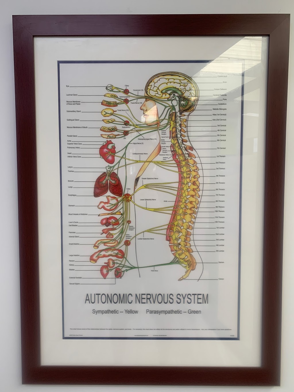 Dr Andrew Timbs - Upper Cervical Chiropractor and TPI expert | health | 1455 Brisbane Valley Highway, Fernvale QLD 4306, Australia | 0432860811 OR +61 432 860 811