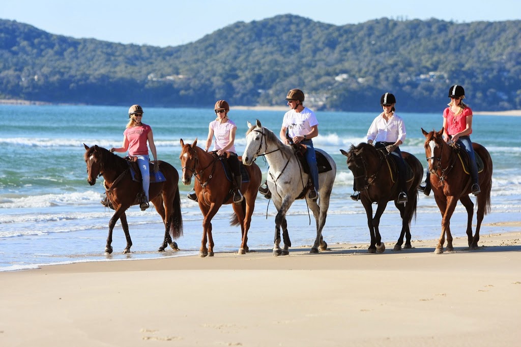 Equathon Horse Riding | Esplanade, Noosa North Shore QLD 4565, Australia | Phone: (07) 5474 2665