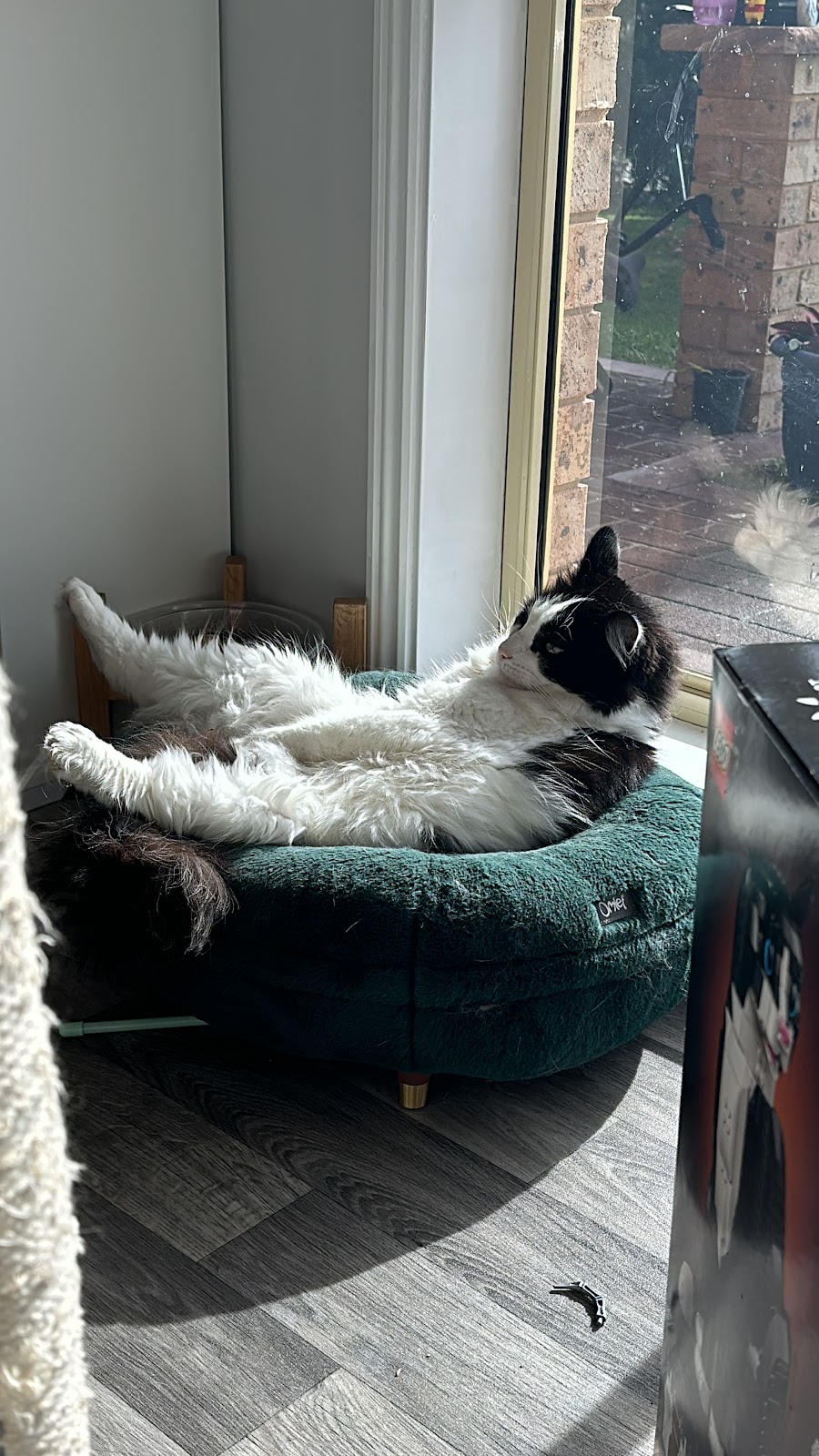 Move Unleashed Port Stephens | Shopping Village, Shop 1/37 Ferodale Rd, Medowie NSW 2318, Australia | Phone: 0400 114 557